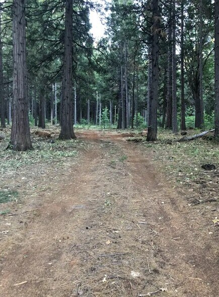 More Photos Of 1989 Tract Shingletown Ridge Rd, Shingletown Land For Sale