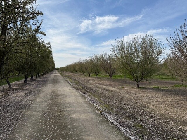 More Photos Of Leedom Rd @ Mountain View Rd, Hughson Land For Sale