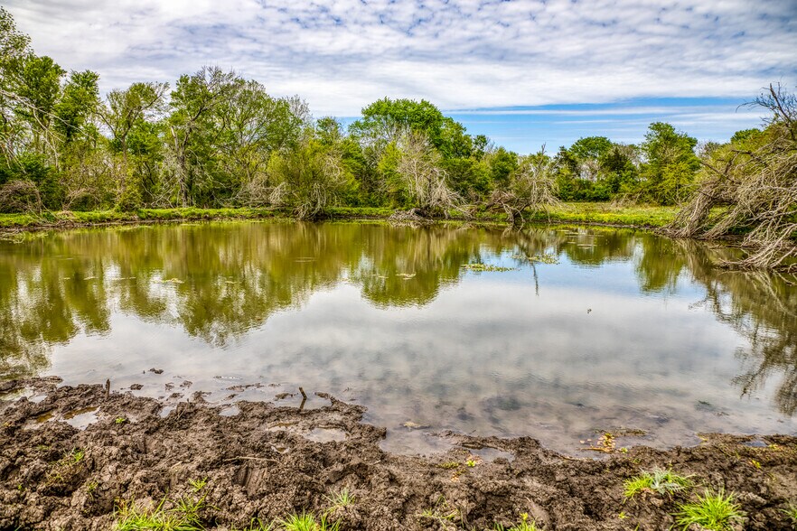 More Photos Of 20751 FM 1155 E, Washington Land For Sale