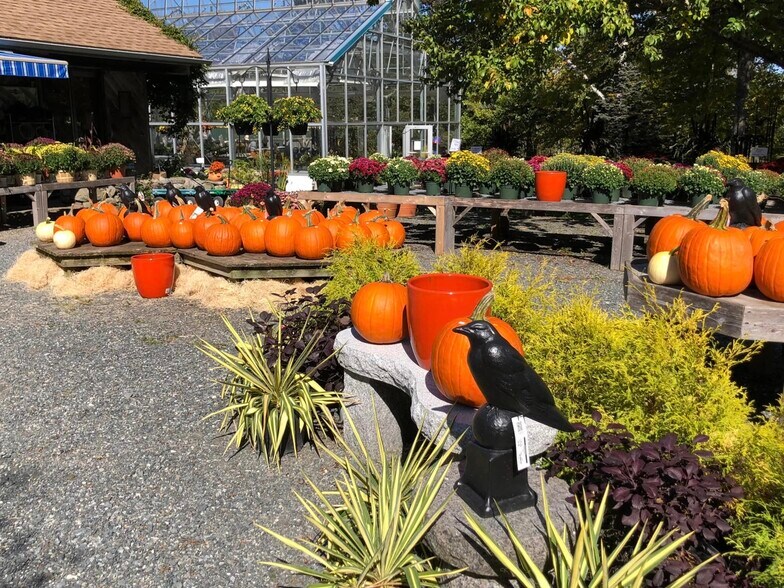 More Photos Of 48 South, Blue Hill Garden Center For Sale