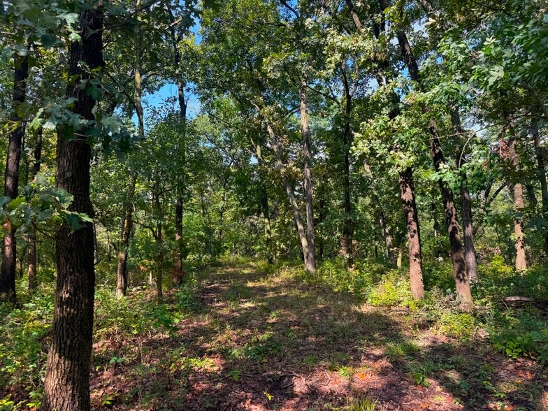 More Photos Of 17688 Golden Rd, Linwood Land For Sale