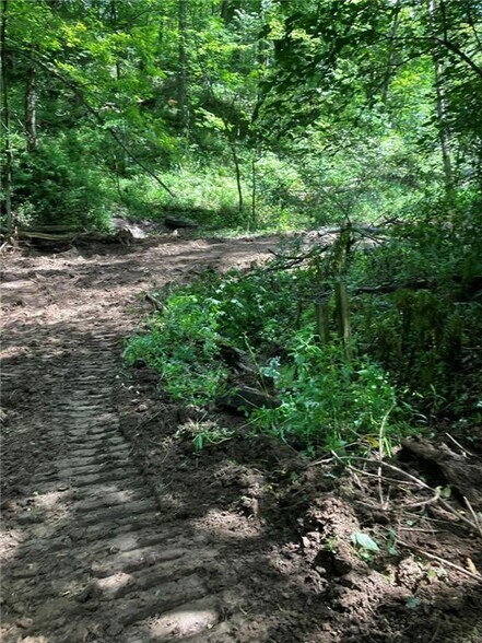 More Photos Of N3953 Bear Pen Rd, Arkansaw Land For Sale