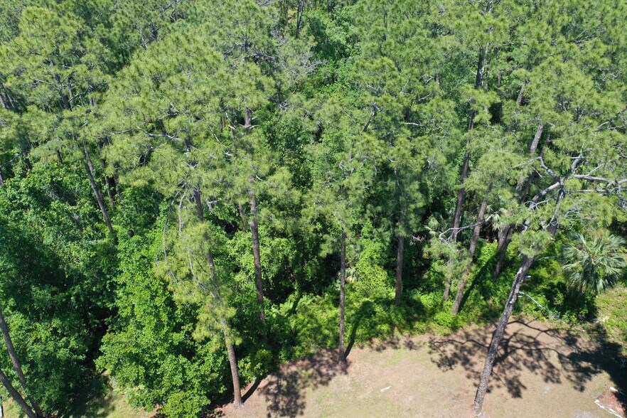 More Photos Of 638 Walnut St, Welaka Land For Sale