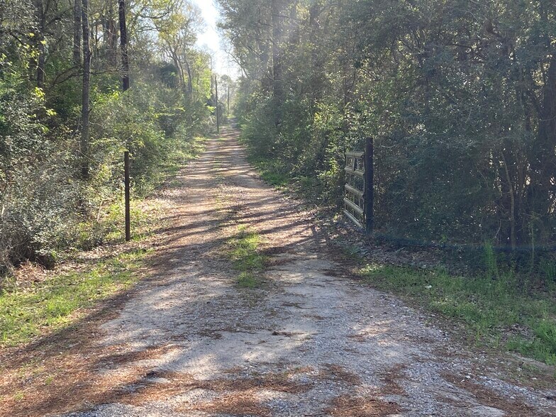 More Photos Of 24030 Hegar Rd, Hockley Land For Sale