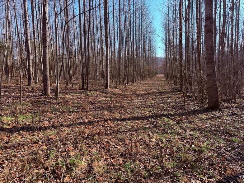 More Photos Of 4604 Summersville Rd, Campbellsville Land For Sale