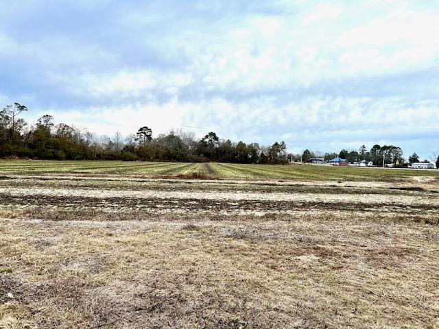 More Photos Of 8291 GA Highway 67, Brooklet Land For Sale