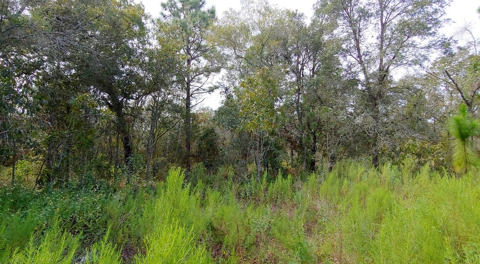 More Photos Of County Line Rd, Spring Hill Land For Sale