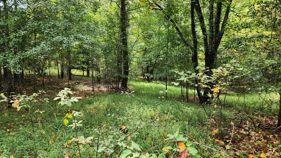 More Photos Of 1661 Friendship Rd, Hoschton Land For Sale