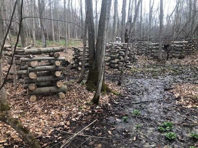 More Photos Of 5630 Norris Ave, North Rose Land For Sale