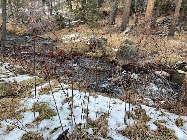 More Photos Of 799 Minaret Rd, June Lake Land For Sale