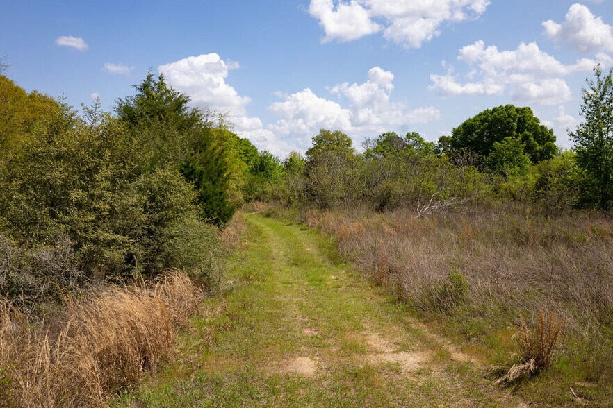 More Photos Of US 84 hwy, Newton Land For Sale