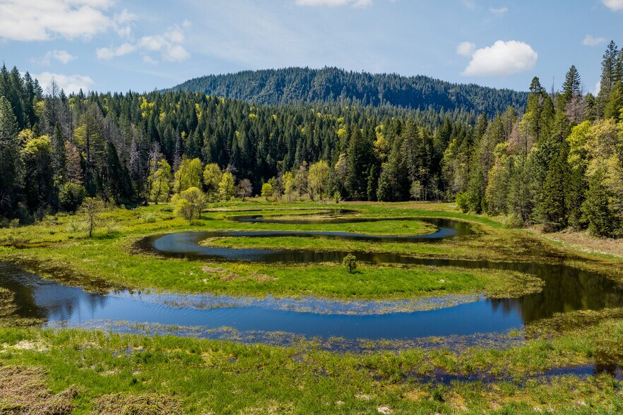 More Photos Of 31419 Hagen Flat rd, Big Bend Land For Sale