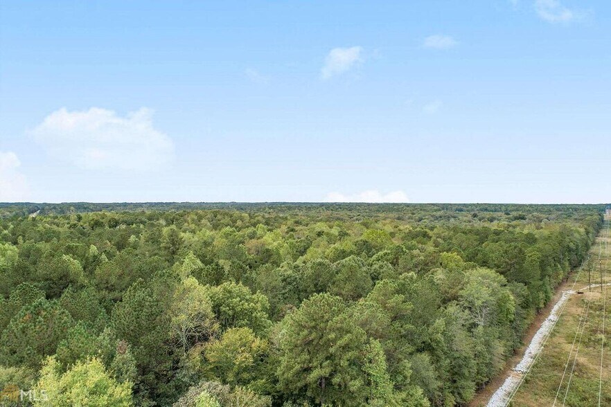 Primary Photo Of GA Hwy 85 S, Senoia Land For Sale