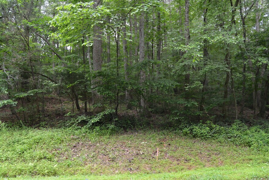 More Photos Of 0 Tom Wright Rd, Franklinton Land For Sale