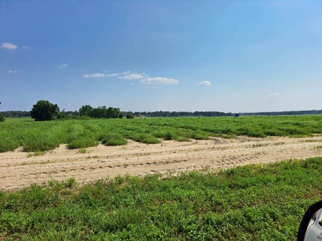 More Photos Of 0 Jesse Allen, Milton Land For Sale