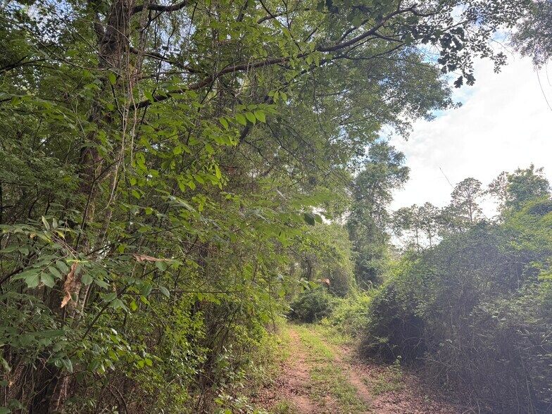 More Photos Of 0 Old Stage rd, Repton Land For Sale