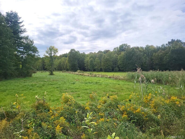 More Photos Of 328 Bloomingburg Rd, Middletown Land For Sale