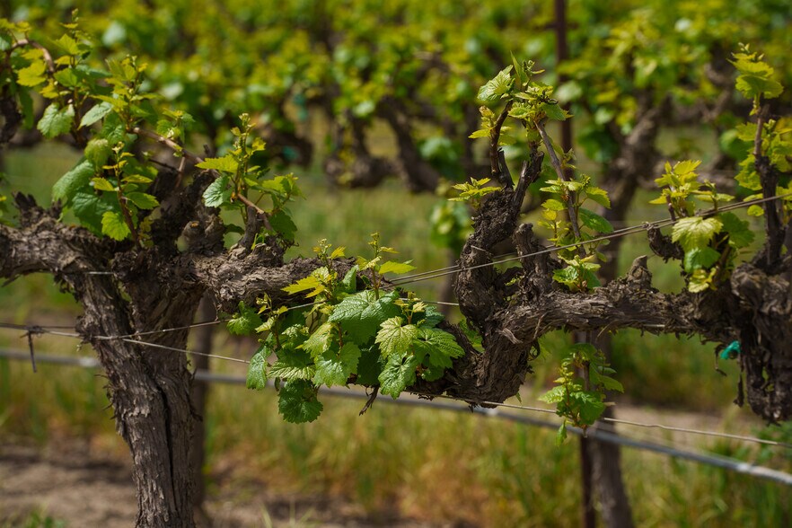 More Photos Of 38156 Elm Ave, Greenfield Land For Sale