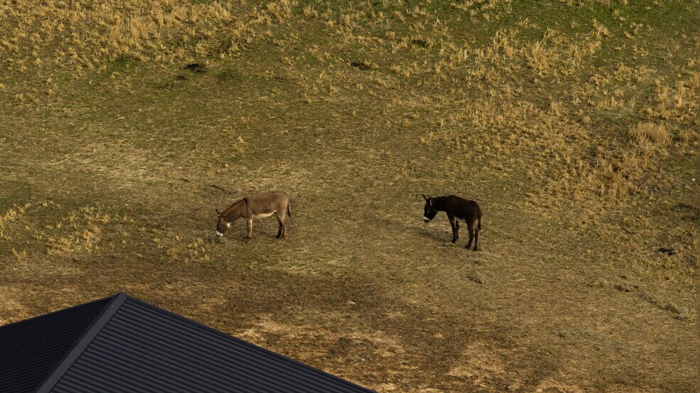 More Photos Of 1185 Jack Smith Rd, Rockfield Land For Sale