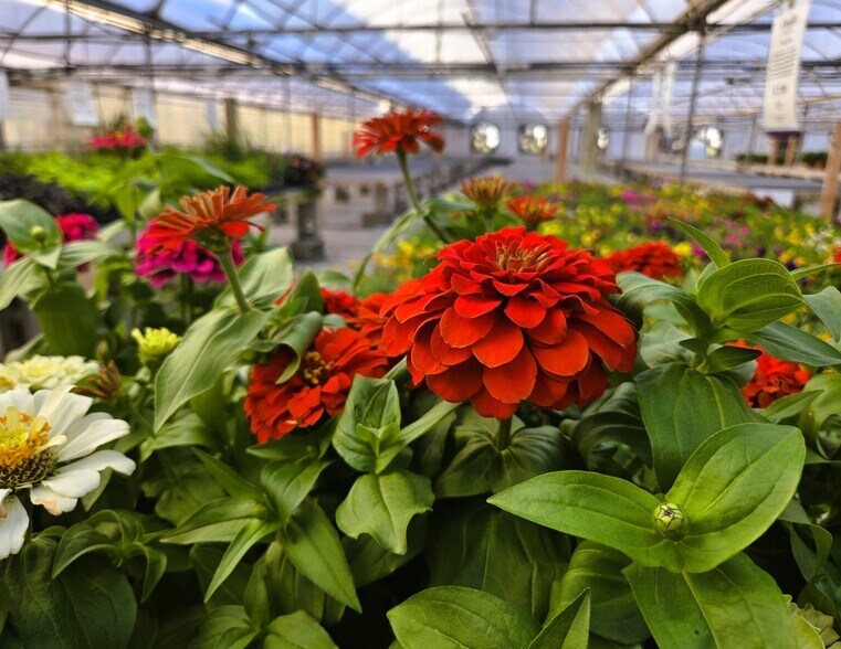 More Photos Of 22085 580th Ave, Ames Specialty For Sale