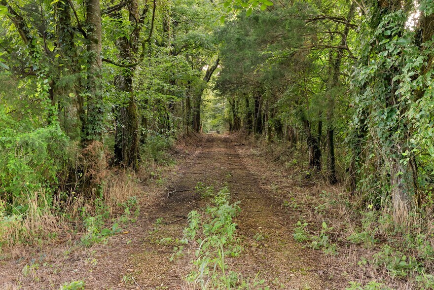 More Photos Of 2942 Newman Rd, Ardmore Land For Sale