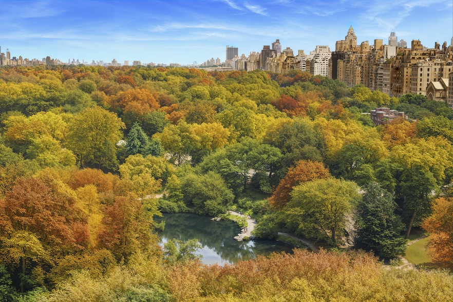 More Photos Of 30 Central Park S, New York Medical For Sale