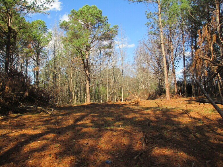 More Photos Of 760 Carlton Johnson rd, Waco Land For Sale