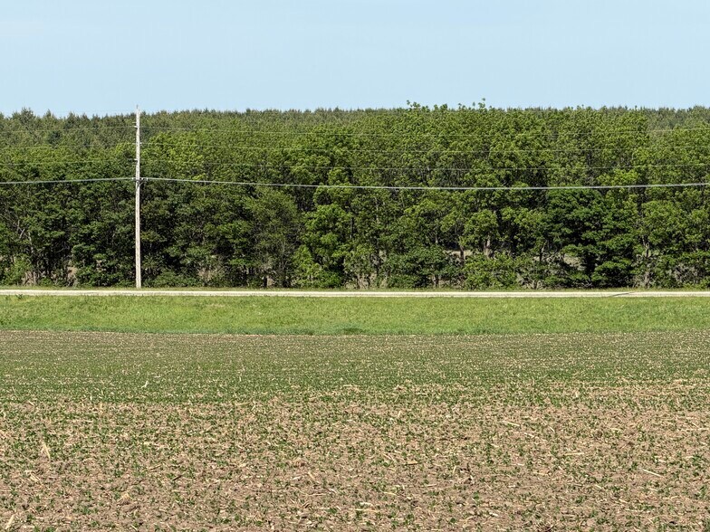 More Photos Of TBD 31st NW Ave @ HWY 52/75th Street NW, Oronoco Land For Sale