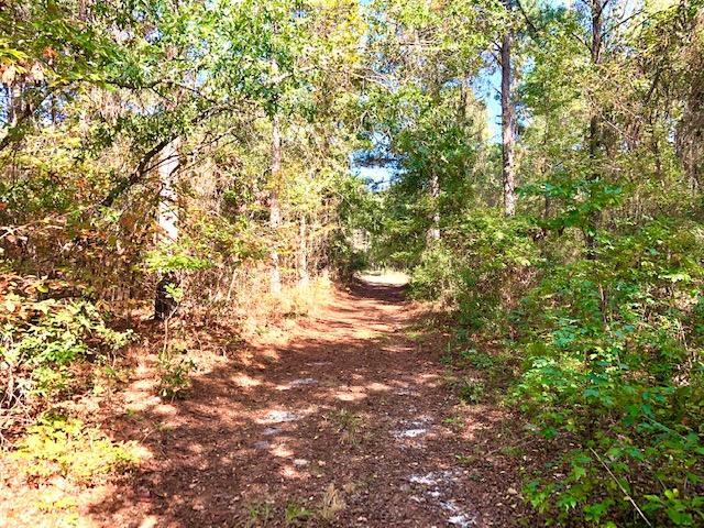 More Photos Of 3221 Gordon Hwy, Grovetown Land For Sale