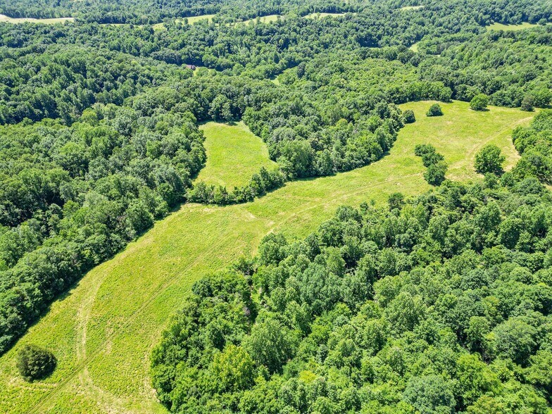 More Photos Of 804 Ball Hollow Branch Rd, Lynnville Land For Sale