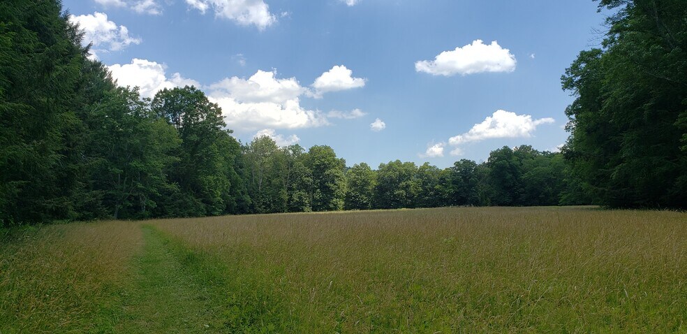 More Photos Of 144 Pine Swamp Rd, Elysburg Land For Sale
