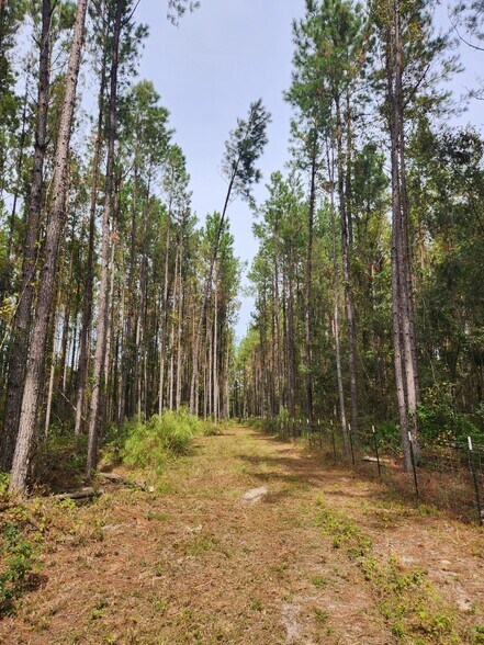 More Photos Of 6939 SW 1 Federal Rd, Lamont Land For Sale