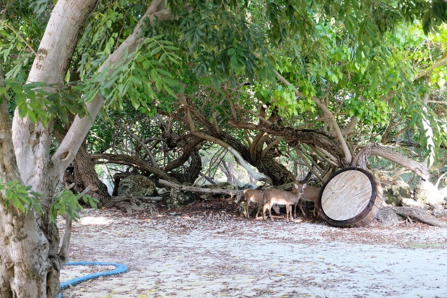 More Photos Of , Big Pine Key Unknown For Sale