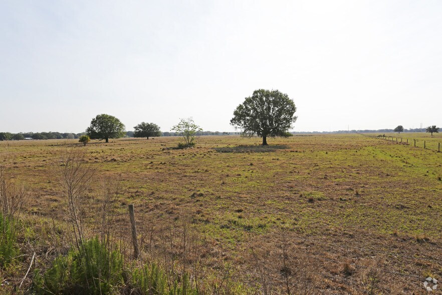 More Photos Of Hwy 17 S, Arcadia Land For Sale