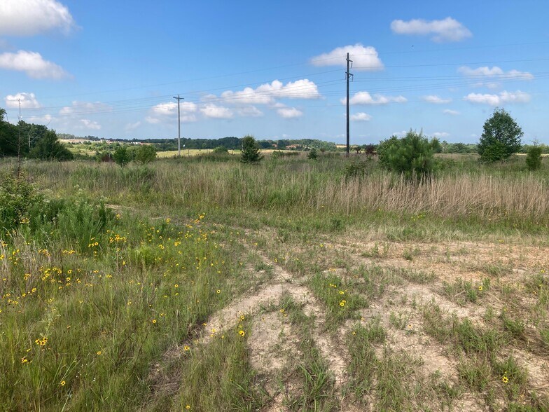 More Photos Of W Mathews Trl, Jonesboro Land For Sale