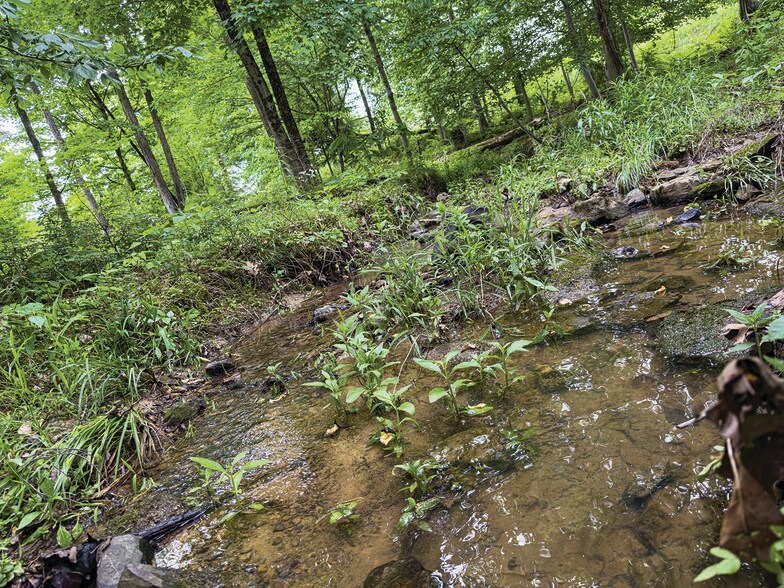 More Photos Of 2475 W County Road 1050 S, Cloverdale Land For Sale