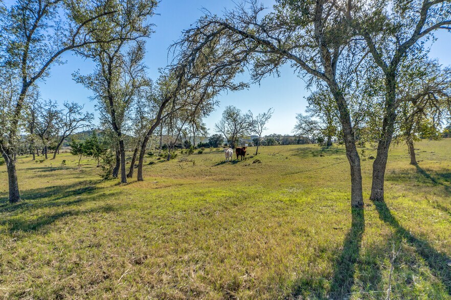 More Photos Of 636 FM 289, Comfort Land For Sale