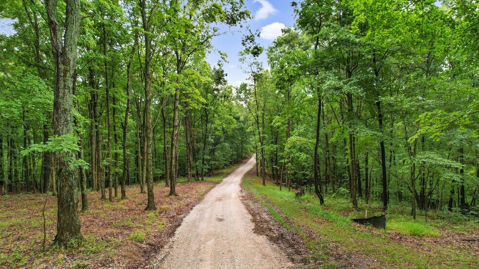 More Photos Of Steeplerock Rd, Defiance Land For Sale