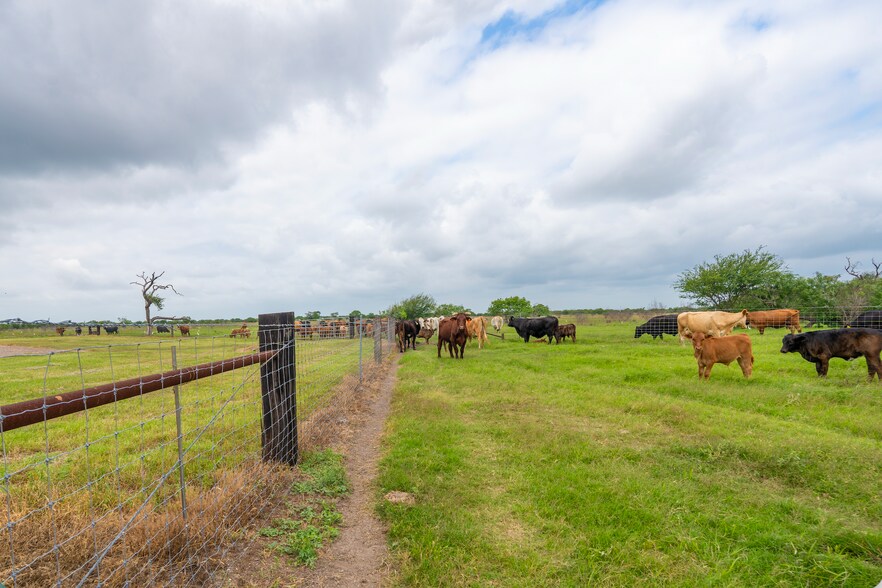 More Photos Of 1038 FM 1360, Woodsboro Land For Sale