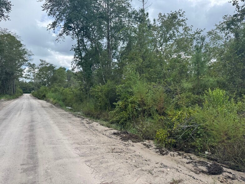 More Photos Of Noah Raulerson Road, Sanderson Land For Sale