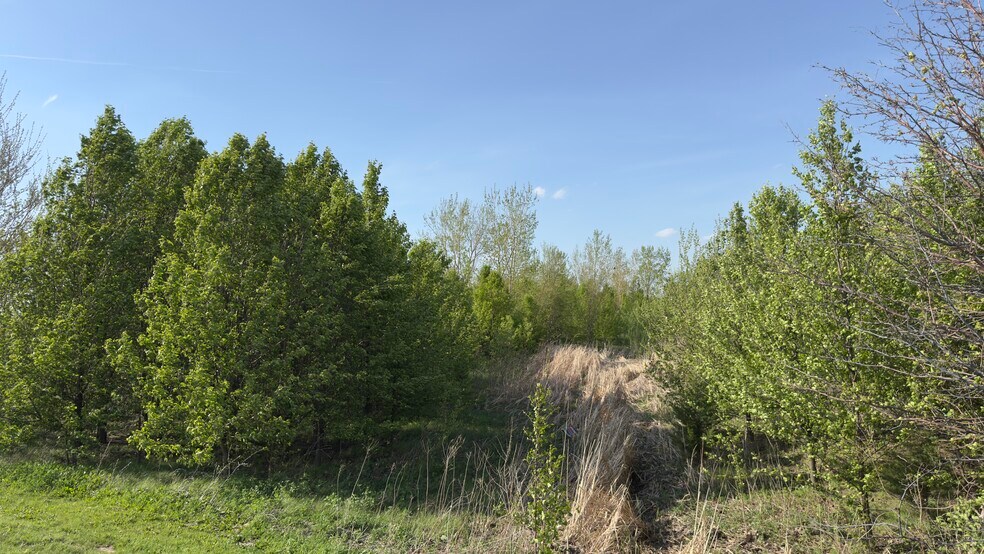 More Photos Of Pin 14-11-477-001 Northtown And Pipeline Rds, Normal Land For Sale
