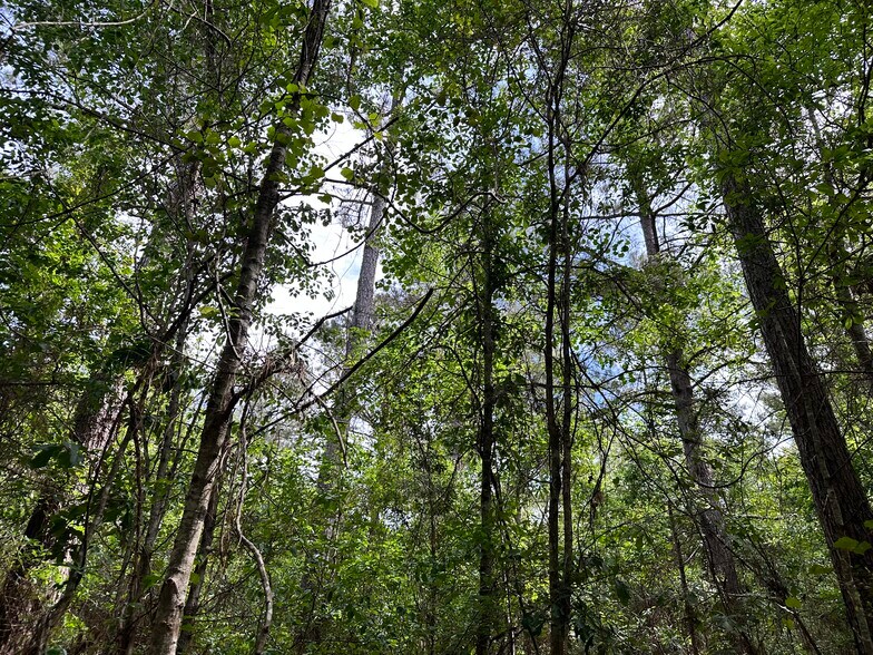 More Photos Of 0 Wilmer, Wilmer Land For Sale