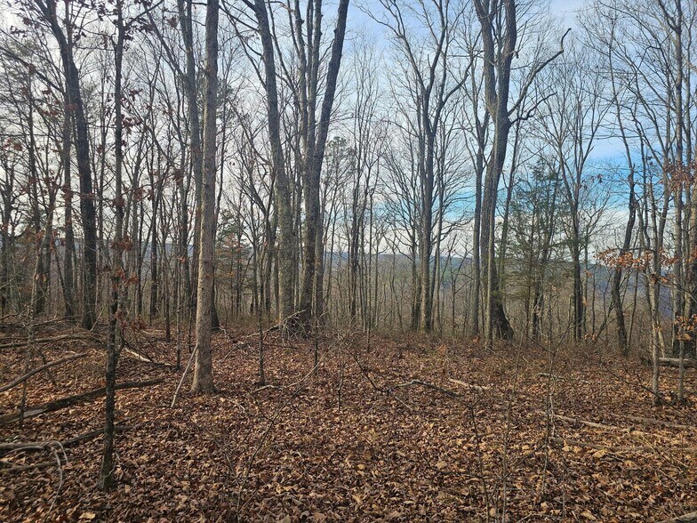 More Photos Of 762 Smith Mountain Rd, Dunlap Land For Sale
