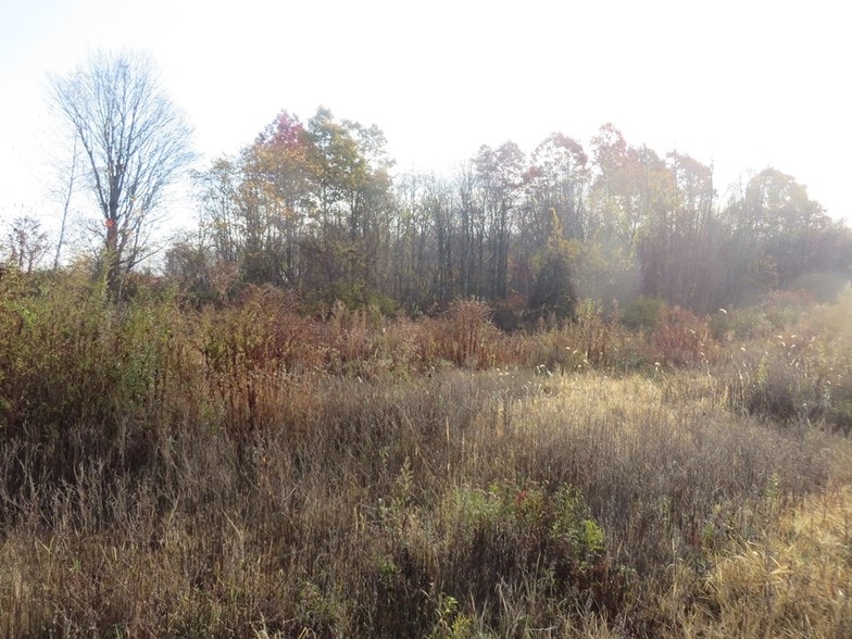 More Photos Of 0 Andrew Mountain Rd, Naugatuck Land For Sale