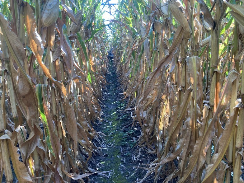 More Photos Of W. Schultz Road, Wood River Land For Sale