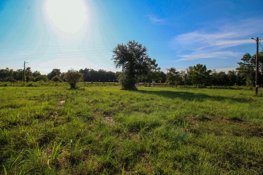More Photos Of 386 County Road 784, Buna Land For Sale