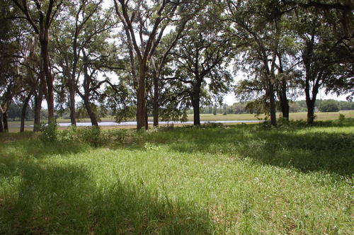 More Photos Of 4107 NE 255th Dr, Melrose Land For Sale