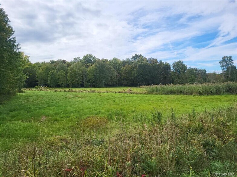 More Photos Of 328 Bloomingburg Rd, Middletown Land For Sale