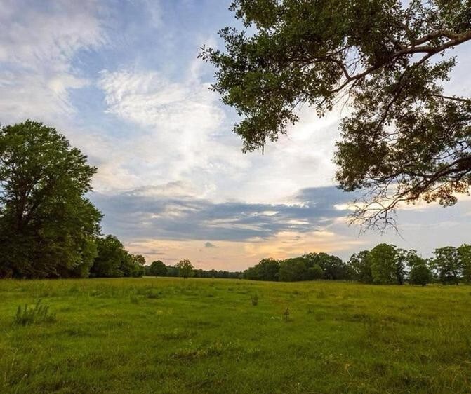 More Photos Of 80342 Interstate I 20, Santo Airplane Hangar For Sale