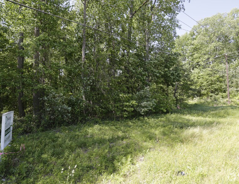 Primary Photo Of 1798 E Broad Ave, Rockingham Land For Sale